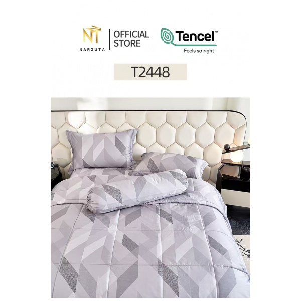 t24485n1