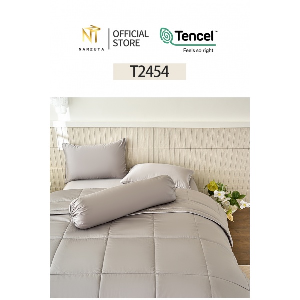 t2454_1