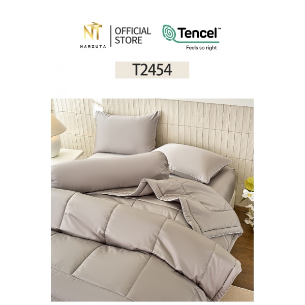 t2454_2