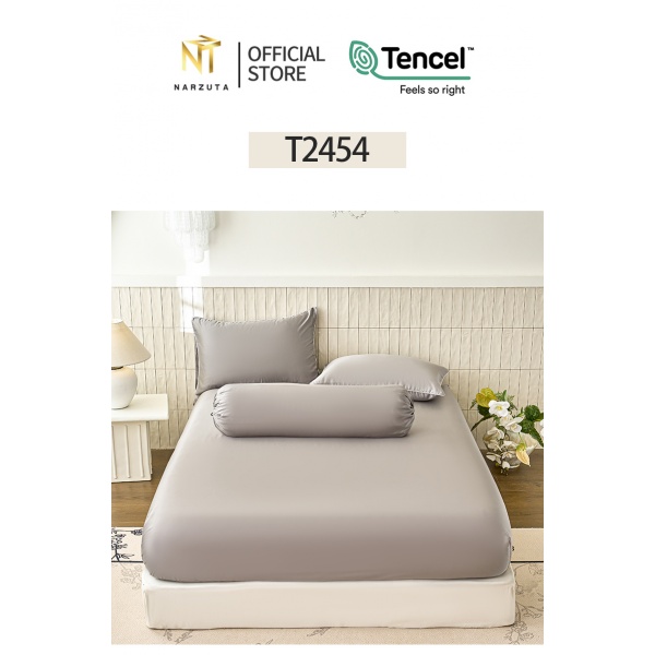 t2454_4