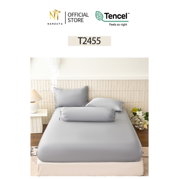 t2455_4