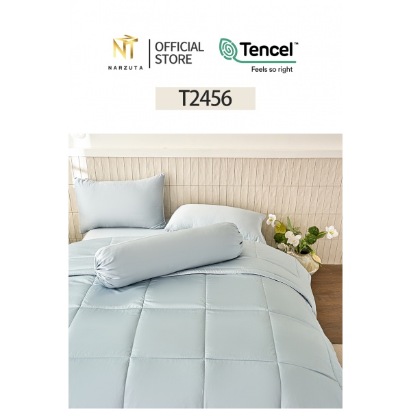 t2456_1