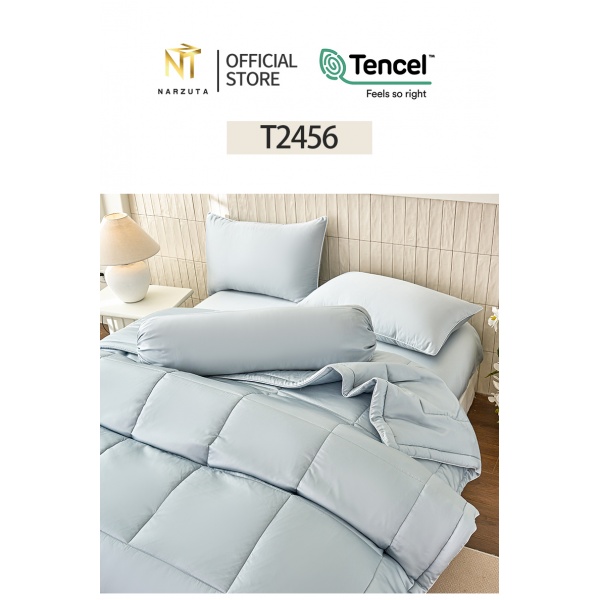 t2456_2