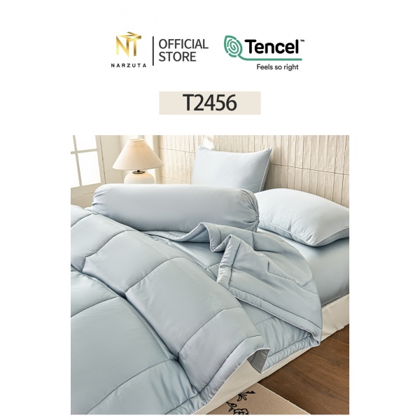 t2456_3