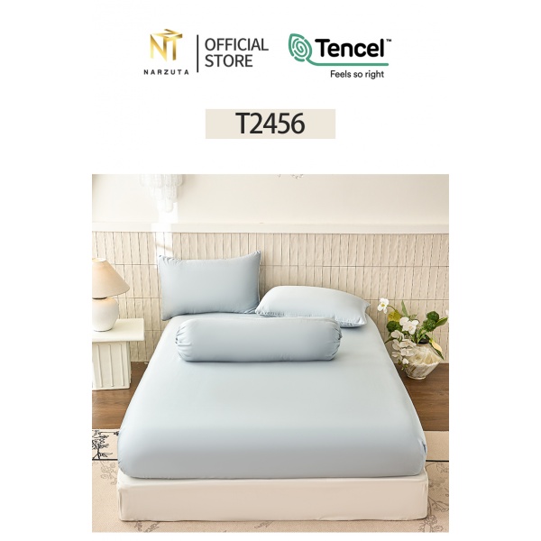 t2456_4