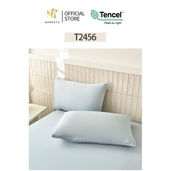 t2456_5