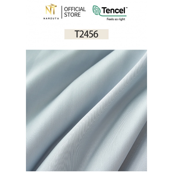 t2456_6