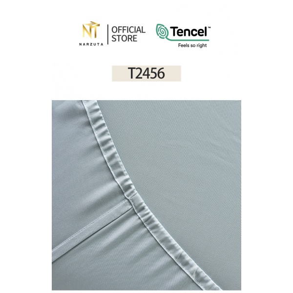t2456_7