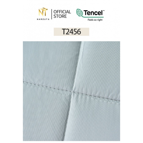 t2456_8