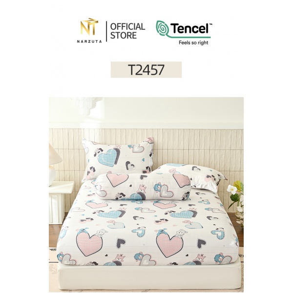 t2457_4
