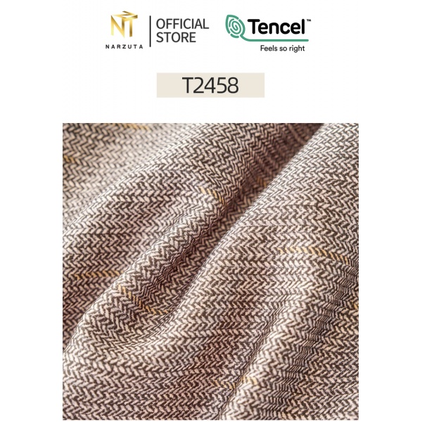 t2458_6