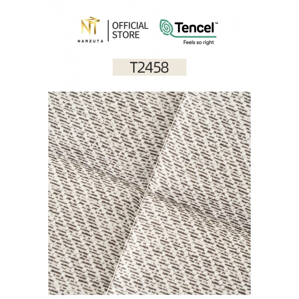 t2458_8