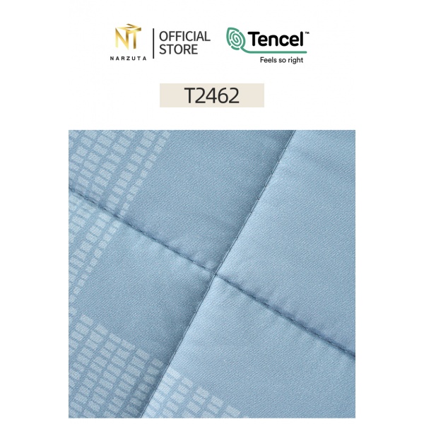 t2462_2