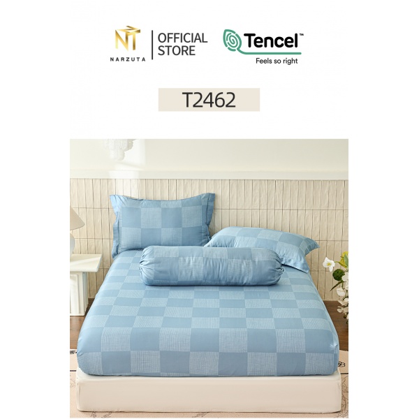 t2462_5