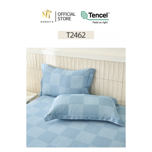 t2462_6